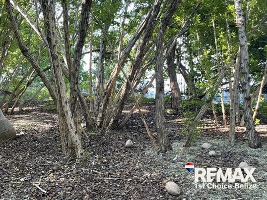 Driftwood Caye, Private Caribbean Island - photo 16