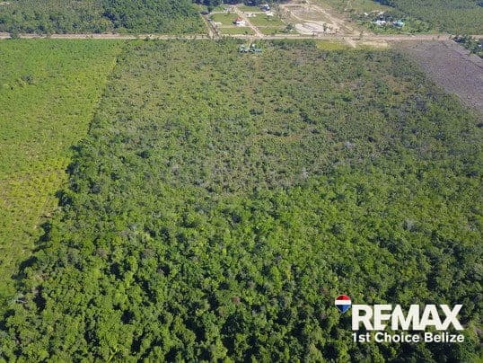 30 Acres in Silk Grass - photo 8