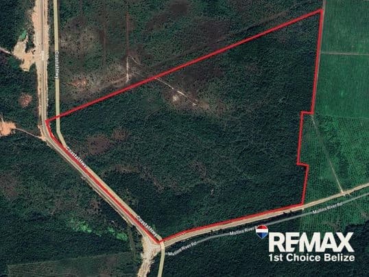 186 Acres Ready for Development on Coastal Highway - photo 1
