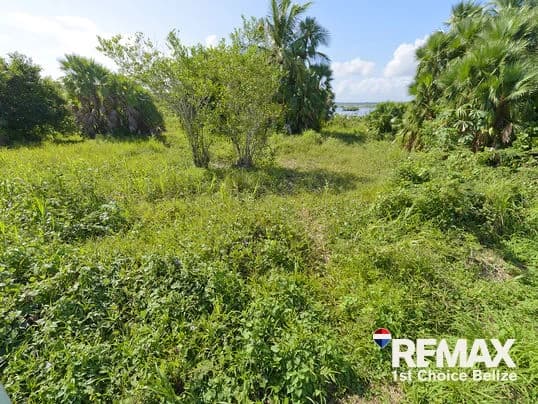 1 Acre Parcel Right off Hopkins Road - photo 5