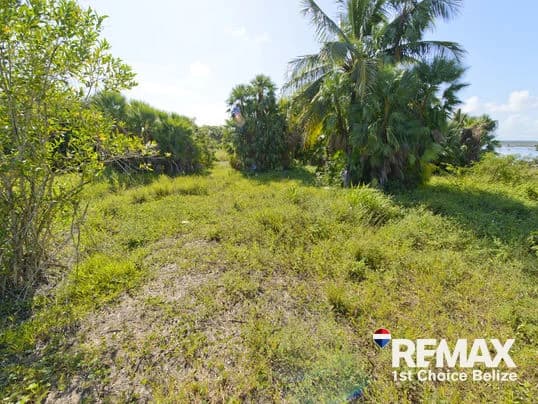 1 Acre Parcel Right off Hopkins Road - photo 4