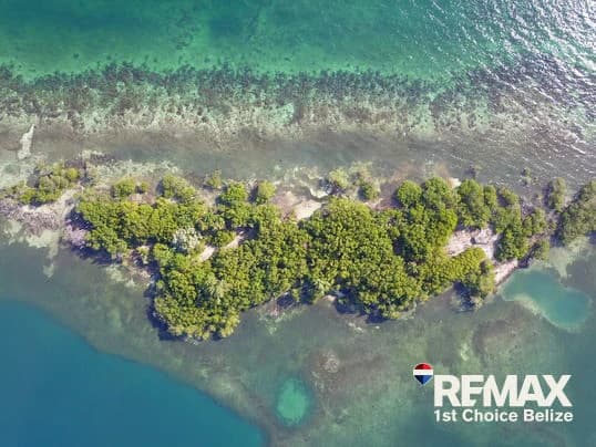 Driftwood Caye, Private Caribbean Island - photo 4