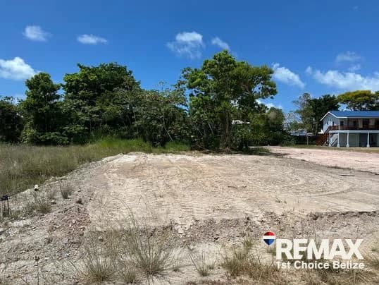 Vacant Build-Ready Lot in Savannah Homes, Hopkins - photo 1