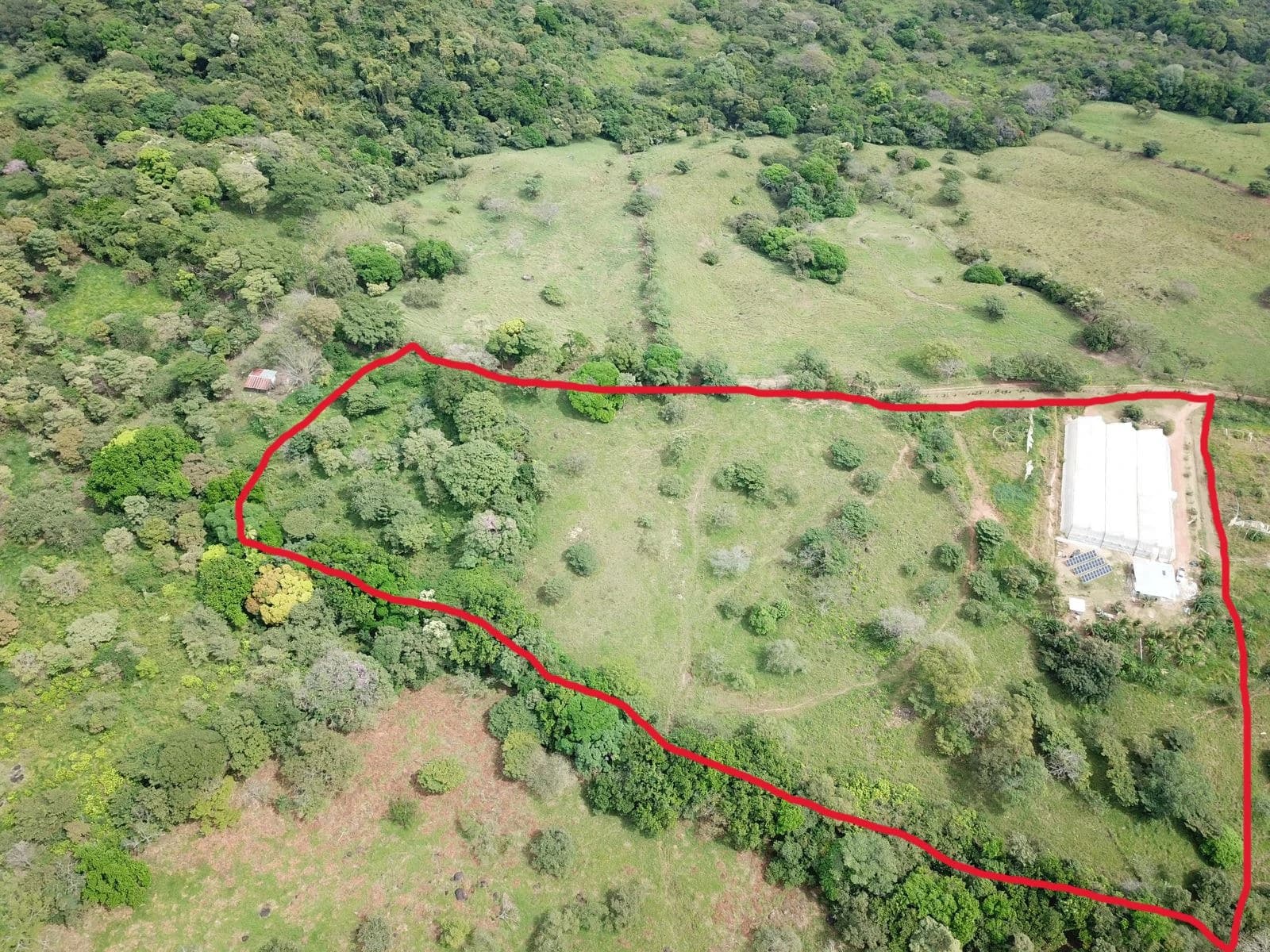 8.9-Hectare Greenhouse Farm | Santa Cruz de Chame, Panama - photo 6