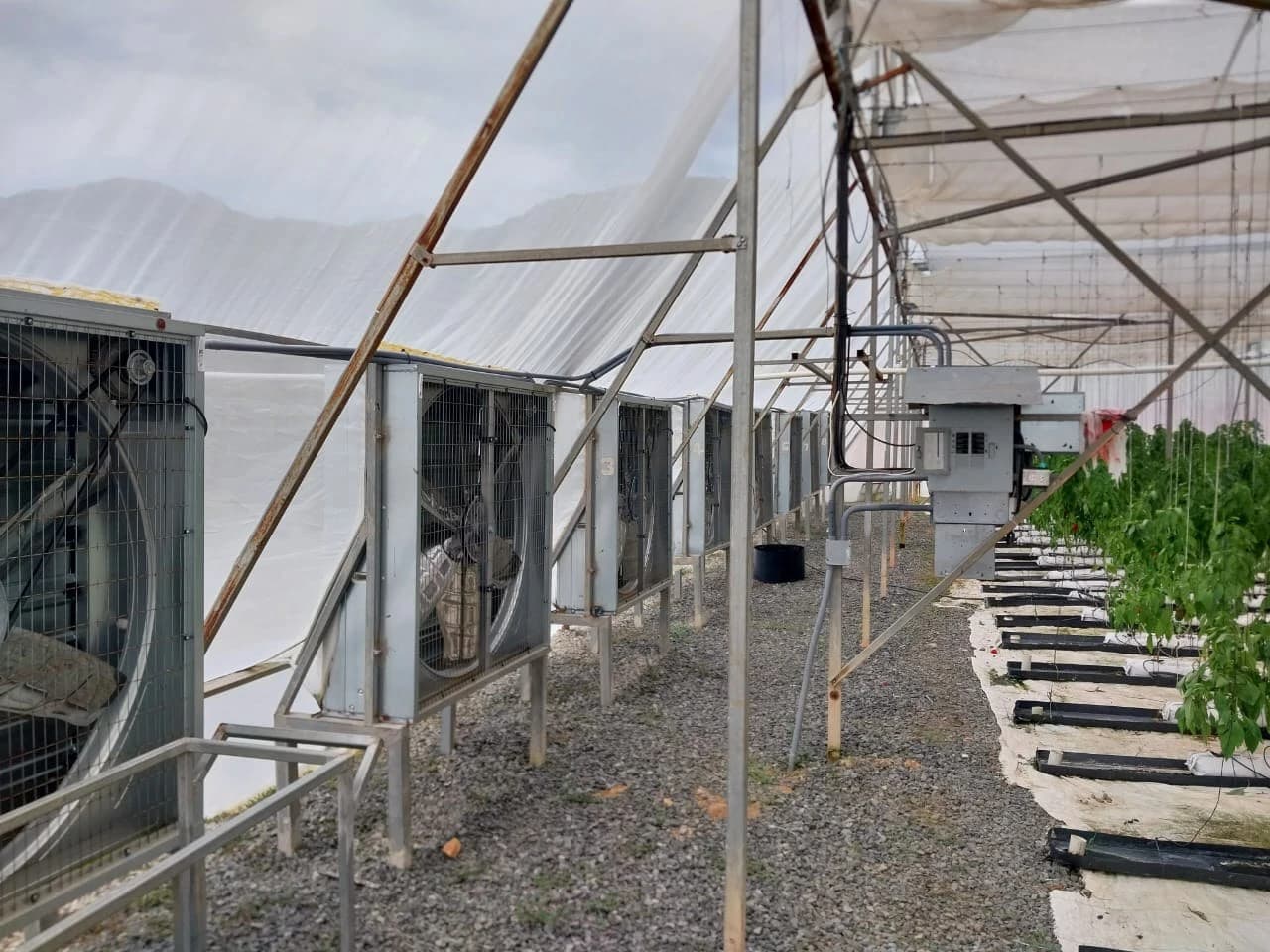 8.9-Hectare Greenhouse Farm | Santa Cruz de Chame, Panama - photo 3
